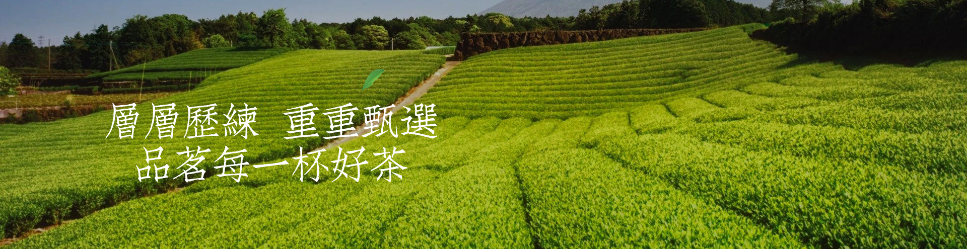 榮譽(yù)證書